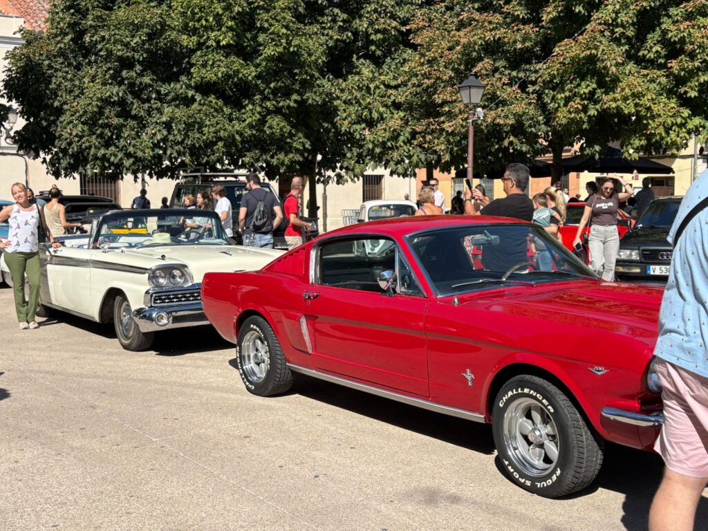 537988295 1217222493766615 3360163941003033844 n