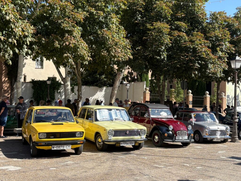 538242288 1217222580433273 2101296063035137568 n