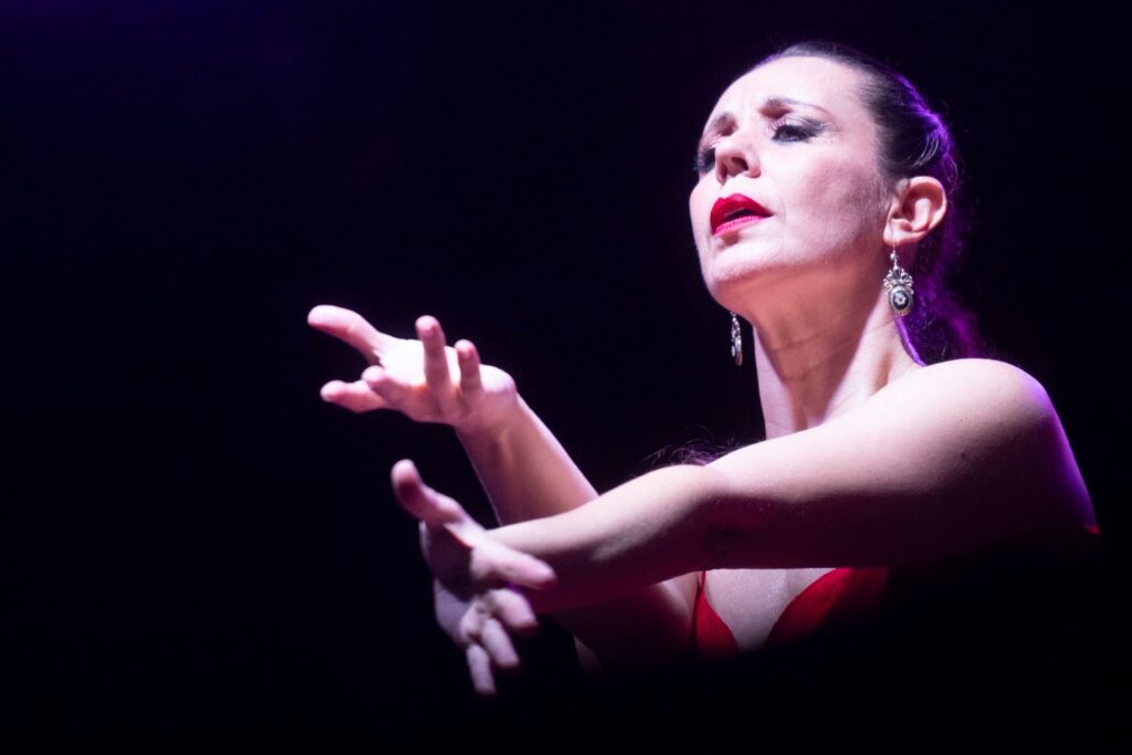 538623412 1219084530247078 5289241286393659665 n