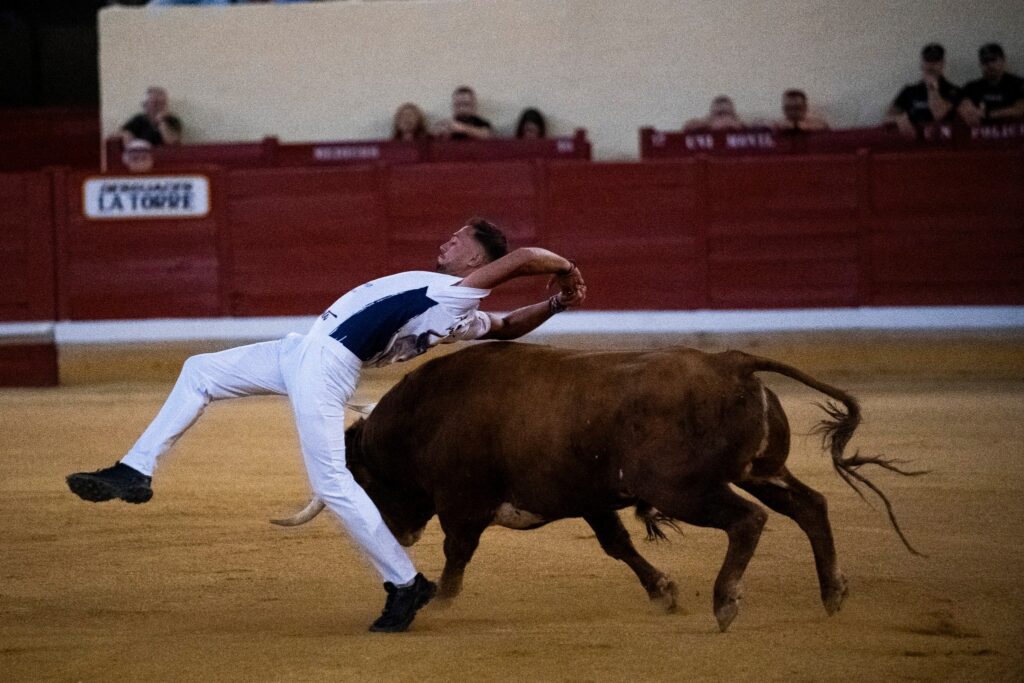 539194132 1220985453390319 646595593099420779 n