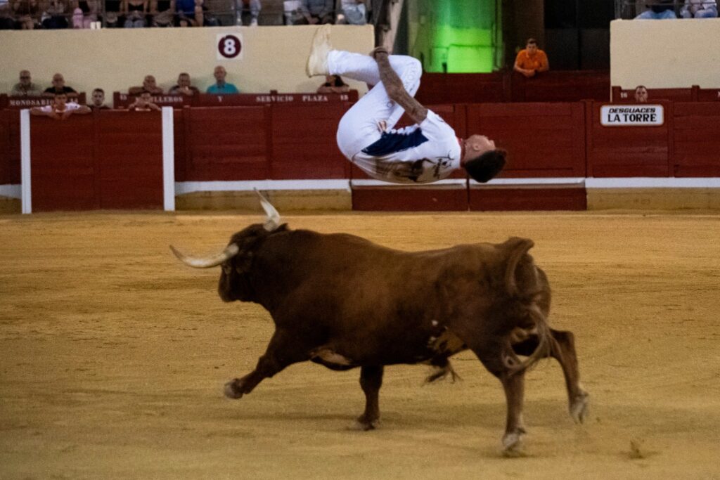 540442683 1220985293390335 920710910263051037 n
