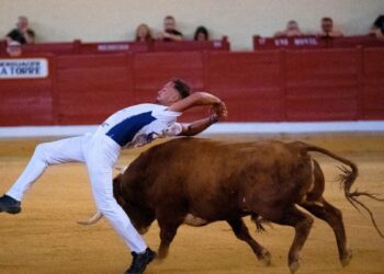 El Concurso de Recortes Memorial Daniel Jimeno inaugura la Feria Taurina de Alcalá 2025