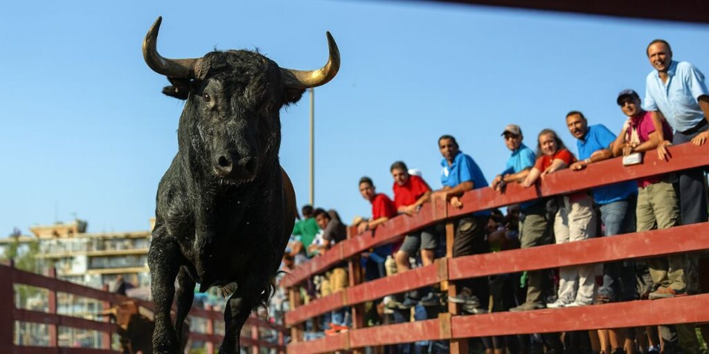 encierro toro