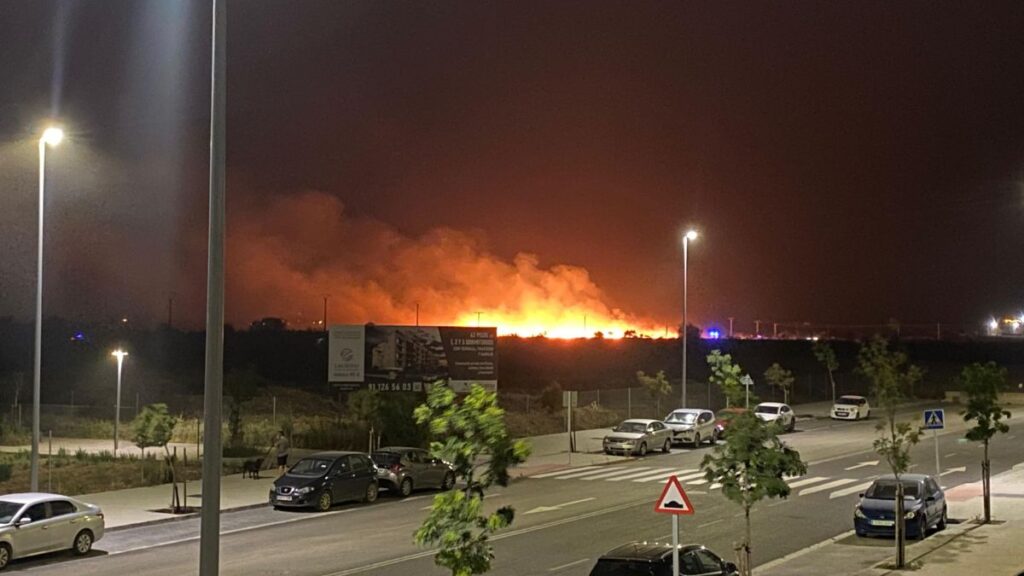 incendio el olivar