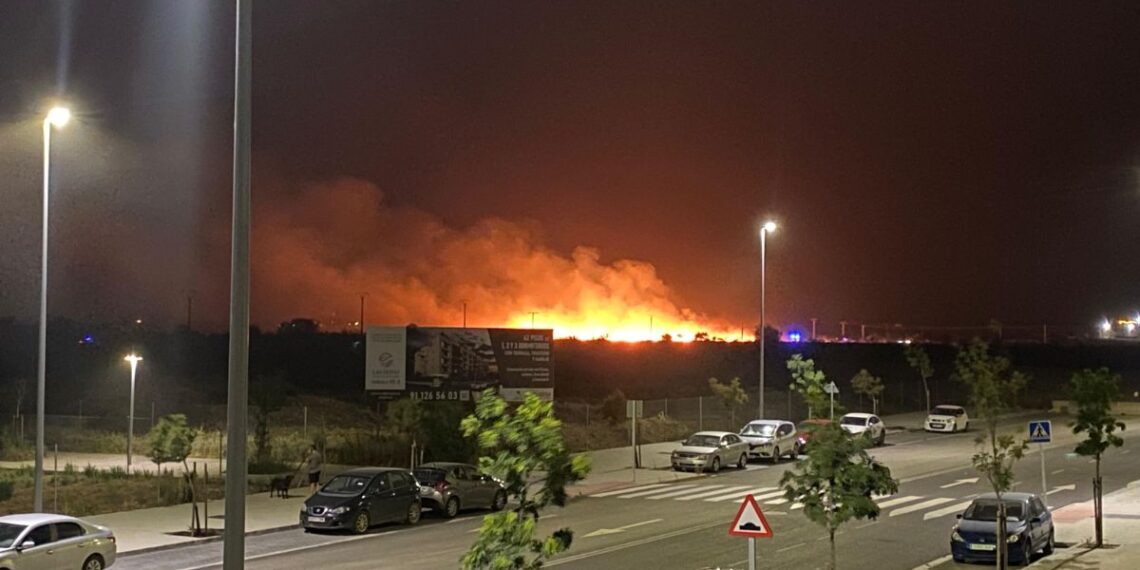 incendio el olivar