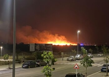 Un incendio en el barrio de El Olivar-Las Sedas moviliza a los servicios de emergencia