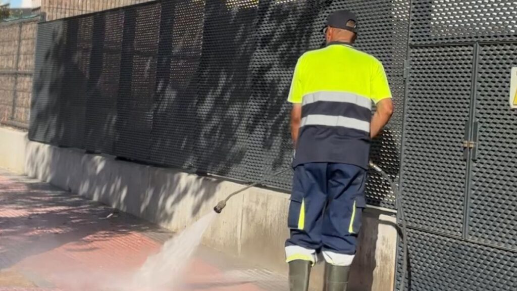 limpieza el olivar