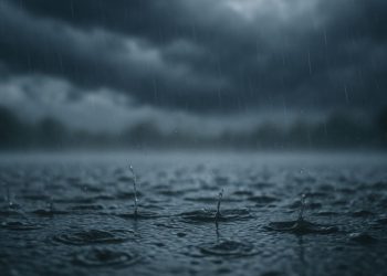 Aviso amarillo en Alcalá por calor extremo: Cierre de parques en Alcalá desde las 14:00 por riesgo de tormentas y fuertes vientos