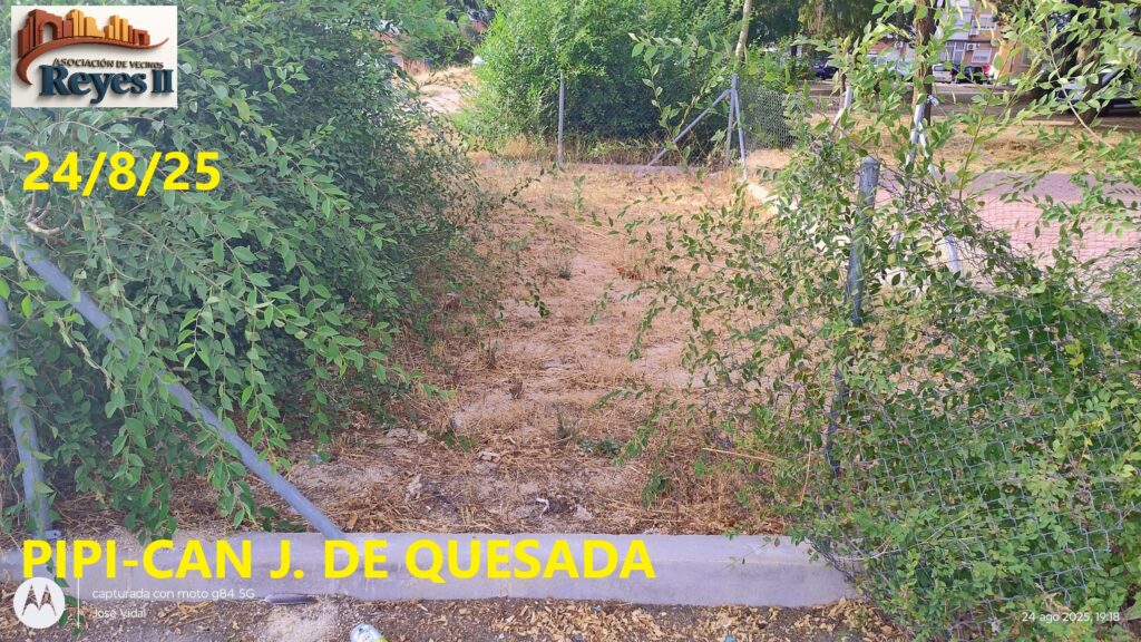 IMG 20250824 WA0002