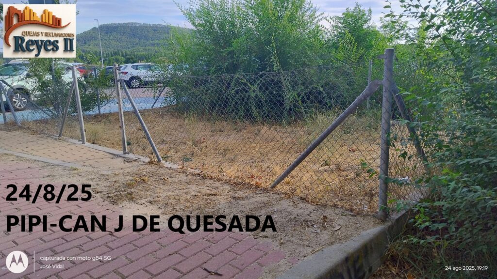 IMG 20250824 WA0003
