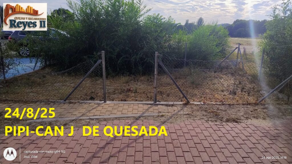 IMG 20250824 WA0004