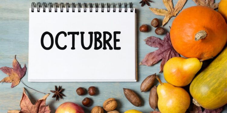 Fuente: Elaboración propia