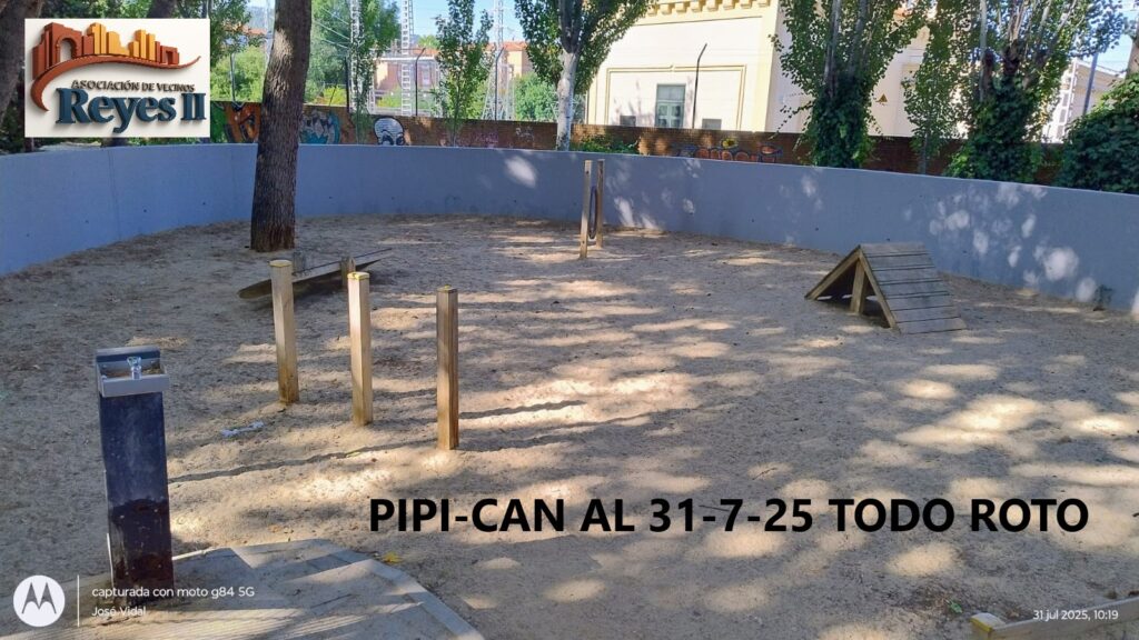 PIPI CAN 31 7 25