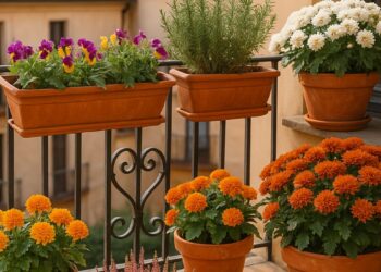Plantas de temporada para decorar tu terraza o balcón este otoño y llenar Alcalá de color