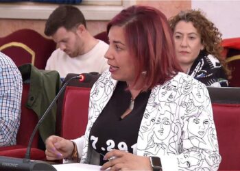 Más Madrid pide convocar la Junta de Seguridad para que el Ayuntamiento se persone en juicios por robos multirreincidentes en Espartales 5 Más Madrid acusa a Vox de instrumentalizar una violación para difundir mensajes racistas en Alcalá