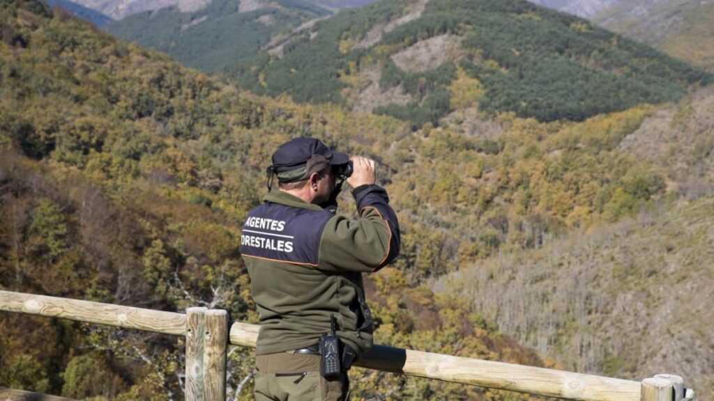 Los Agentes Forestales avisan: así actúa el "animal más peligroso" de la Comunidad de Madrid 1 agente forestal prismaticos