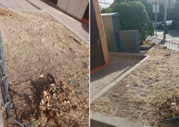 Vecinos de Espartales denuncian la “destrucción” de las zonas verdes del barrio y reclaman “una gestión real”