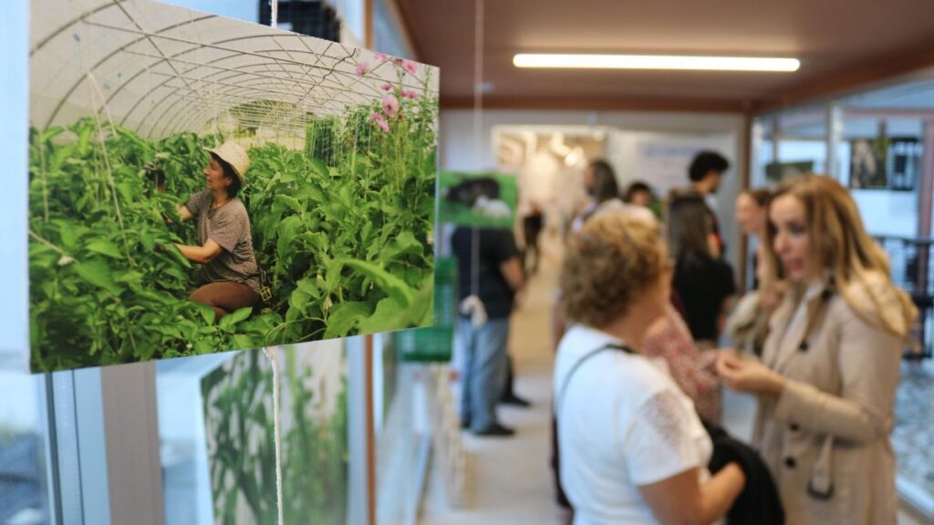 exposicion fotografica la juve
