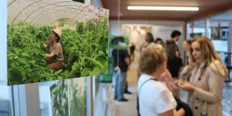 exposicion fotografica la juve