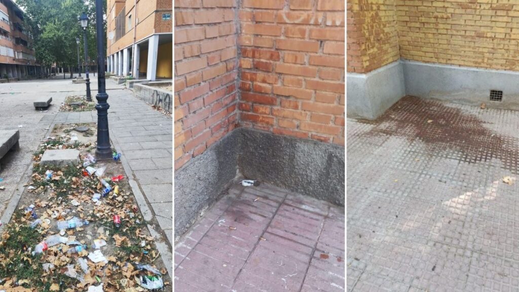 limpieza alcala