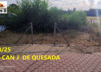La Asociación de Vecinos Reyes II denuncia el abandono de los pipicanes del barrio desde hace años