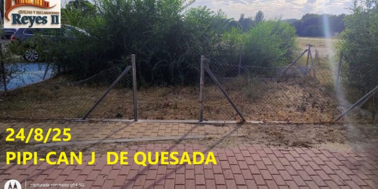 Pipicán de la calle Jiménez de Quesada / Foto: Asociación de Vecinos Reyes II