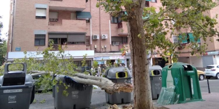 Foto realizada por un vecino