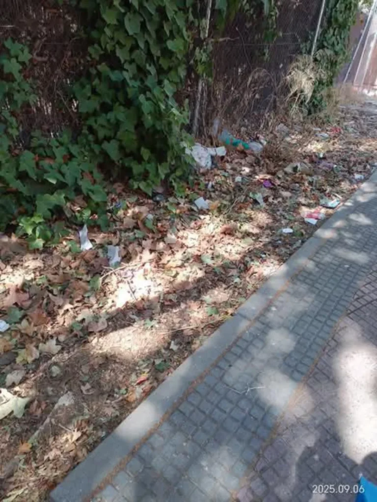 suciedad alcala 10