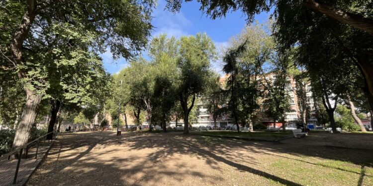 Imagen: Ayuntamiento de Alcalá