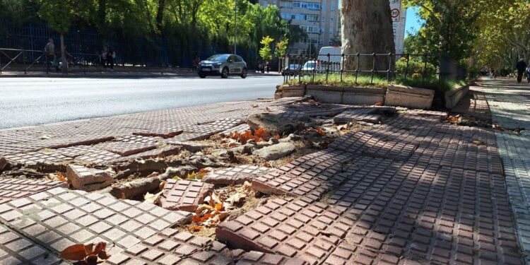 Imagen: Ayuntamiento de Alcalá