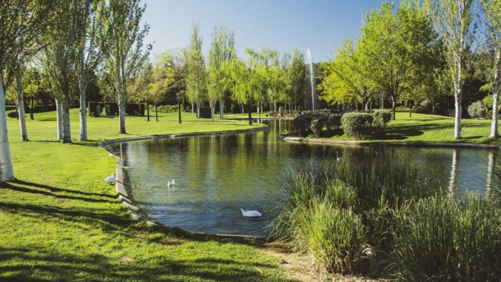jardines cementerio jardin