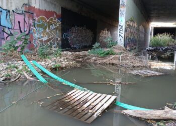 Espartales Unidos denuncia el abandono del Camarmilla tras la “limpieza intensiva” municipal y reclaman una “limpieza real”