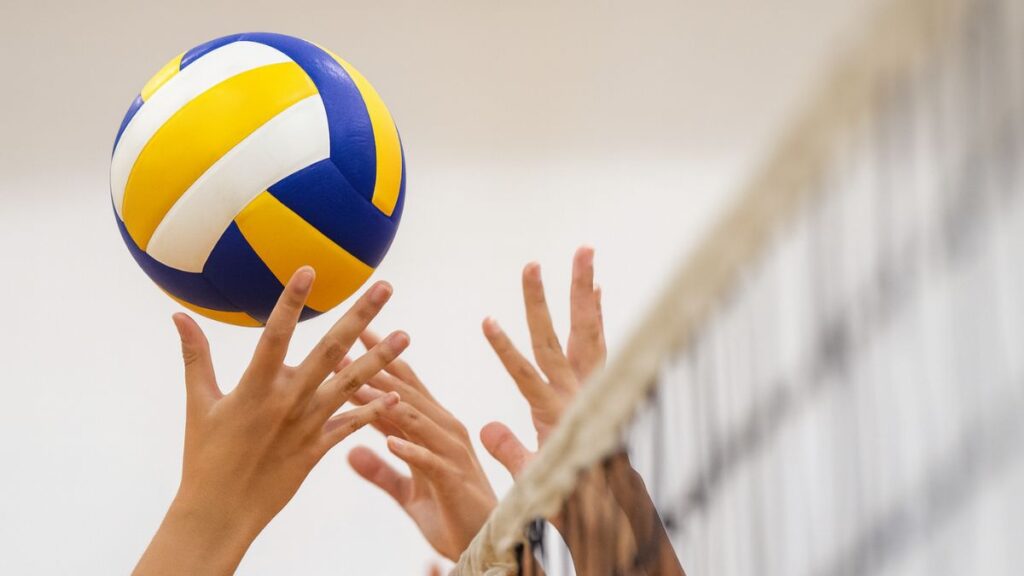 voleibol stock