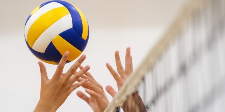 voleibol stock