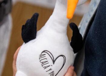 Alcalá celebra el acto de bienvenida a los 340 bebés nacidos en 2023 con un pack especial para familias