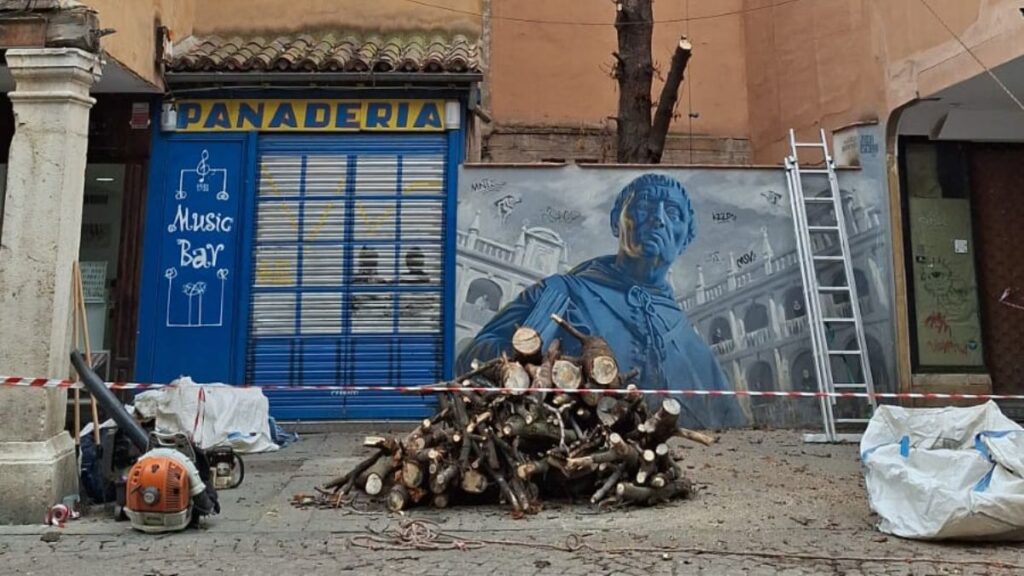 arbol calle mayor panaderia
