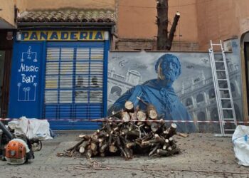 Retiran un árbol emblemático en la Calle Mayor: adiós a un hito entre fachadas junto a La Panadería