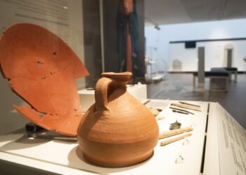 El Antiquarium de Complutum celebra su primer aniversario y lanza la programación 2025-2026 con nuevos ciclos, visitas y talleres