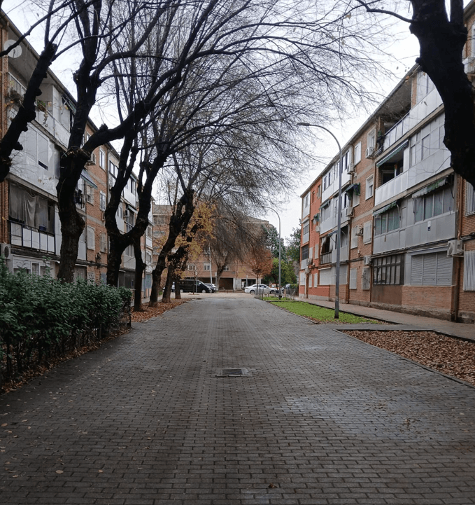 Alcalá de Henares refuerza su servicio de limpieza ante la caída de la hoja 3 CALLE POST LIMIPIEZA VALORIZA
