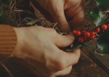 Tradiciones navideñas y conservación: claves para recoger elementos naturales sin dañar el entorno