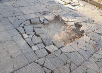 Vecinos de Puerta de Madrid denuncian el deterioro de aceras y alcorques y reclaman una reparación urgente