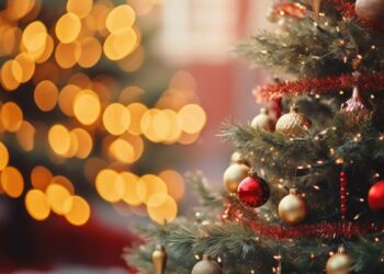 Villancicos, mercado inclusivo y danza histórica transforman la Navidad del Distrito I en vida de barrio