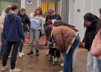 El alumnado de la Escuela del Henares visita el CIMPA y refuerza el vínculo educativo con la protección animal