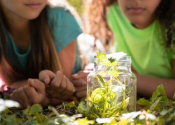 El taller “Educadores ambientales” invita a niños y niñas a ponerse en la piel de defensores del medio ambiente en la Casita del Parque O’Donnell