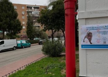 Nueva jornada de ADN canino para reforzar el control de excrementos en la vía pública