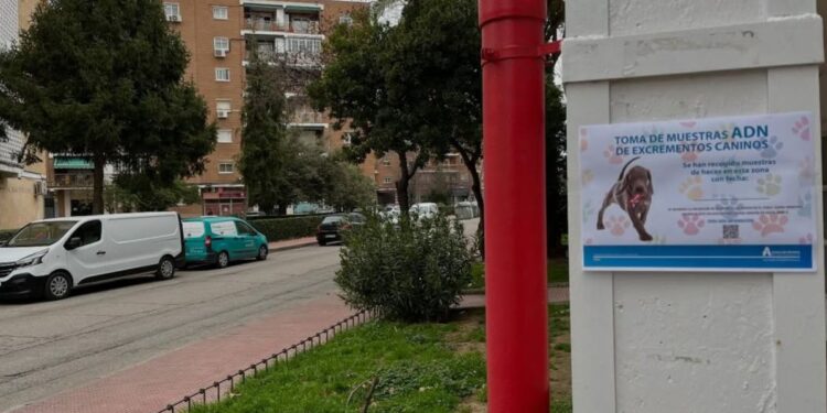 Fuente: IG Ayto Alcalá