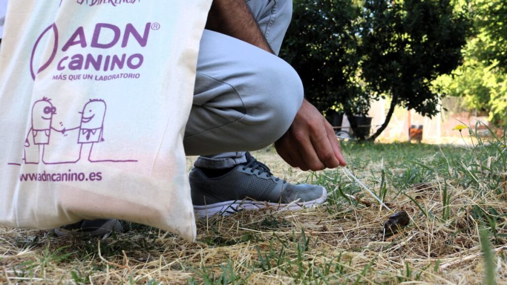 El control del ADN canino deja ya cerca de 400 sanciones por incivismo en las calles de Alcalá de Henares 1 campana adn canino