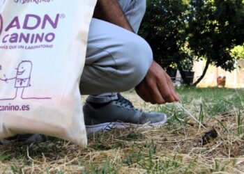 El control del ADN canino deja ya cerca de 400 sanciones por incivismo en las calles de Alcalá de Henares