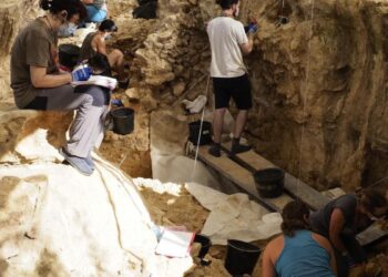 Un estudio liderado por una investigadora de la Universidad de Alcalá refuerza la idea de un santuario neandertal de caza en Pinilla del Valle