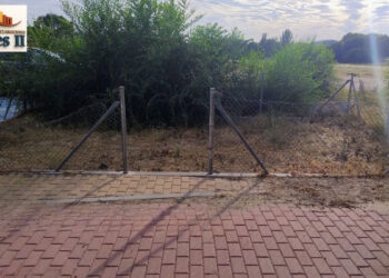 La Asociación de Vecinos Reyes II reprocha a Medio Ambiente la falta de respuestas tras una reunión sin concejal